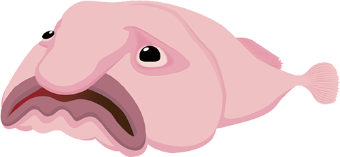 ニュウドウカジカ