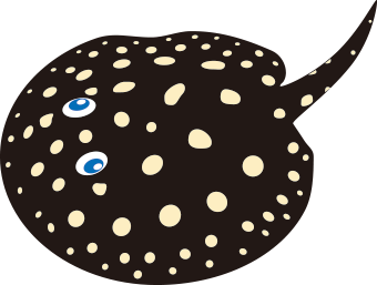 ポルカドットスティングレイ
