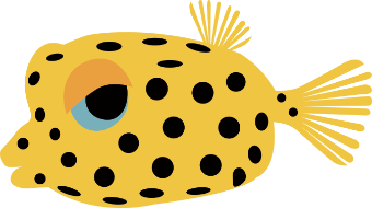 ミナミハコフグ